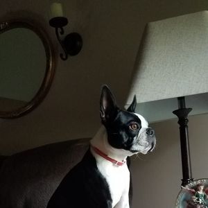 Meet your Posher, Randy